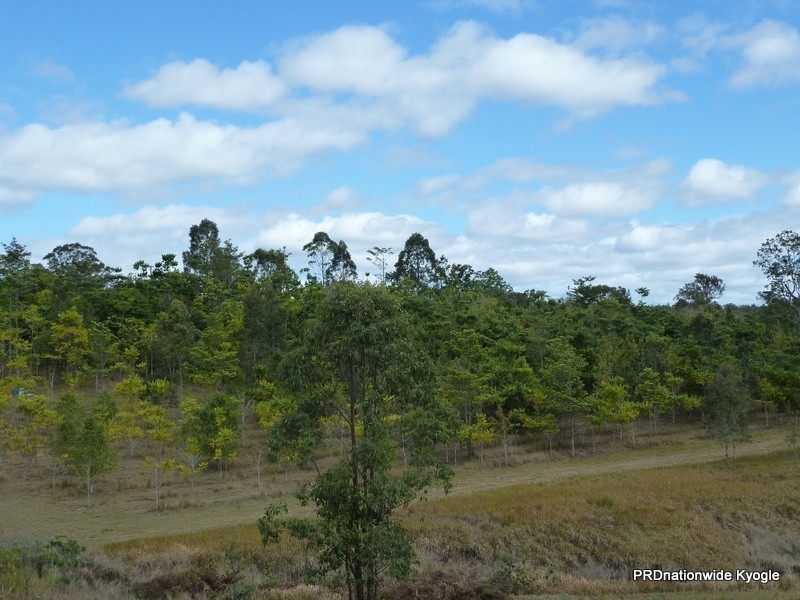 Green Pigeon NSW 2474