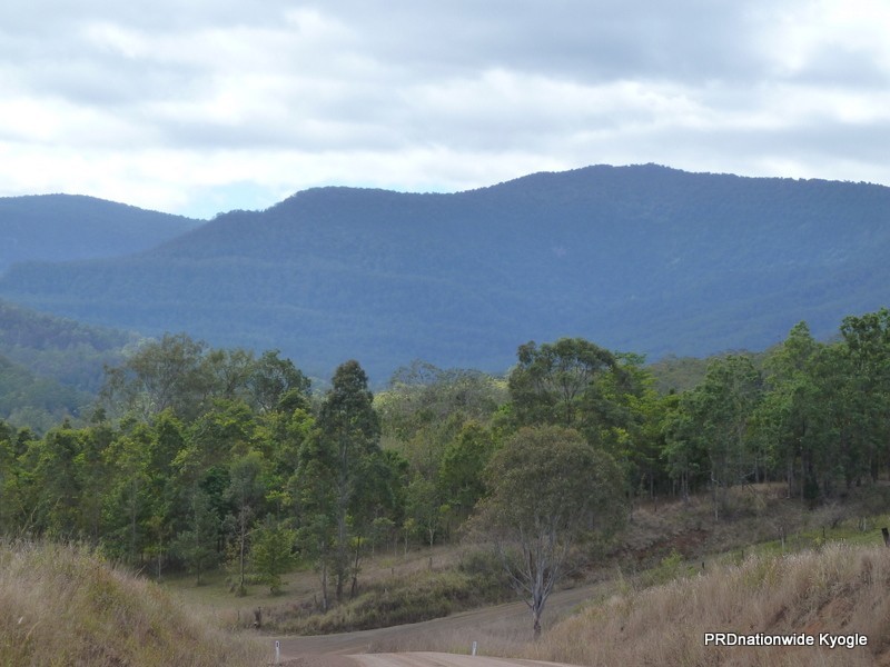 Green Pigeon NSW 2474