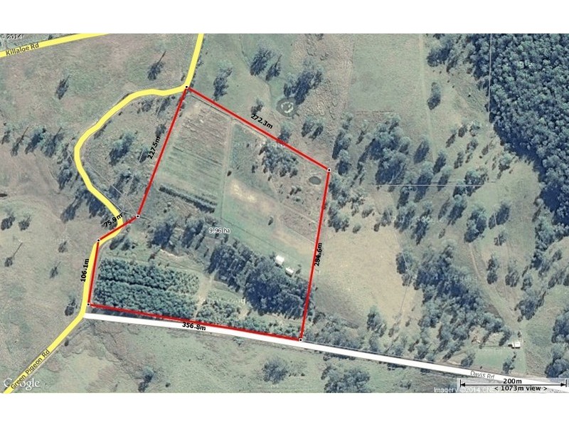 Green Pigeon NSW 2474