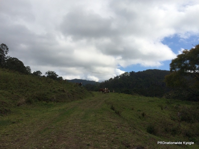 Lot 22 Lions Road, Kyogle NSW 2474