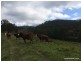 Lot 22 Lions Road, Kyogle NSW 2474