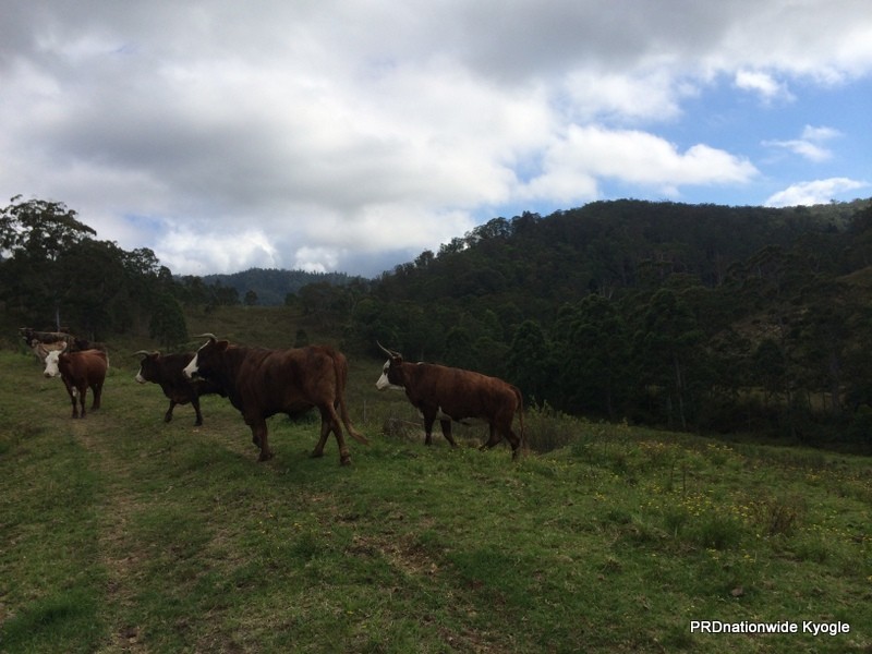 Lot 22 Lions Road, Kyogle NSW 2474