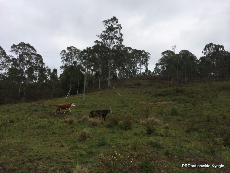Lot 22 Lions Road, Kyogle NSW 2474