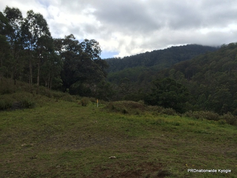 Lot 22 Lions Road, Kyogle NSW 2474