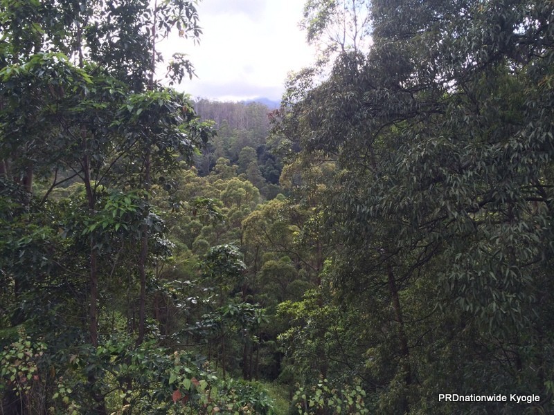 Lot 22 Lions Road, Kyogle NSW 2474