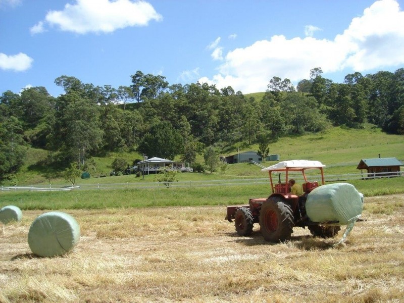 132 Williams Road, Cawongla Via, Kyogle NSW 2474