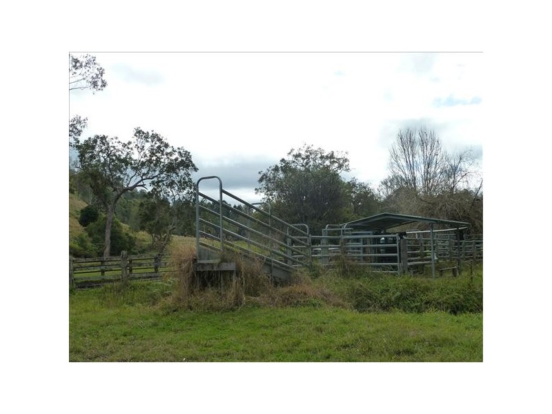 132 Williams Road, Cawongla Via, Kyogle NSW 2474
