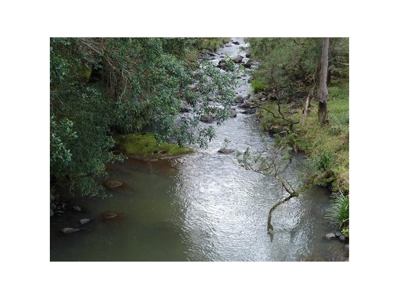 132 Williams Road, Cawongla Via, Kyogle NSW 2474