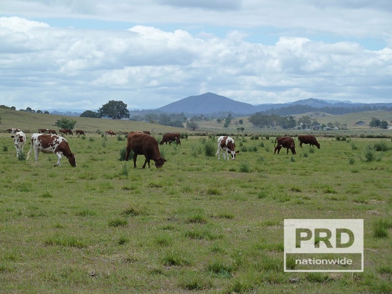 75 Backmede Road, Backmede NSW 2470