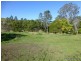 1491 Wiangaree Back Road, Kyogle NSW 2474
