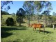 1491 Wiangaree Back Road, Kyogle NSW 2474