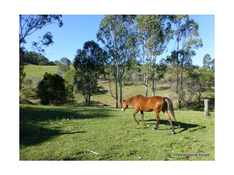 1491 Wiangaree Back Road, Kyogle NSW 2474