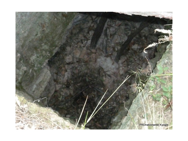 4471 Paddys Flat Road, UPPER TOOLOOM via, Urbenville NSW 2475