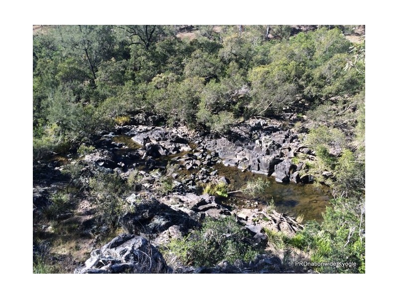 4471 Paddys Flat Road, UPPER TOOLOOM via, Urbenville NSW 2475