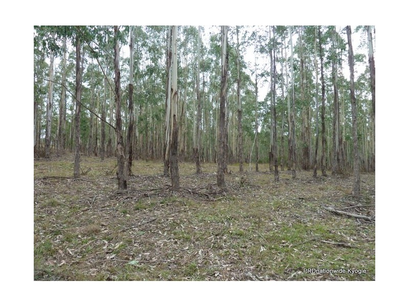 4471 Paddys Flat Road, UPPER TOOLOOM via, Urbenville NSW 2475