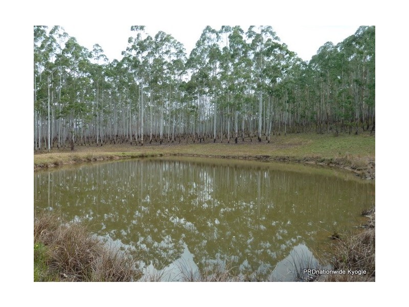 4471 Paddys Flat Road, UPPER TOOLOOM via, Urbenville NSW 2475