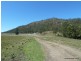 830 Gradys Creek Rd, Kyogle NSW 2474