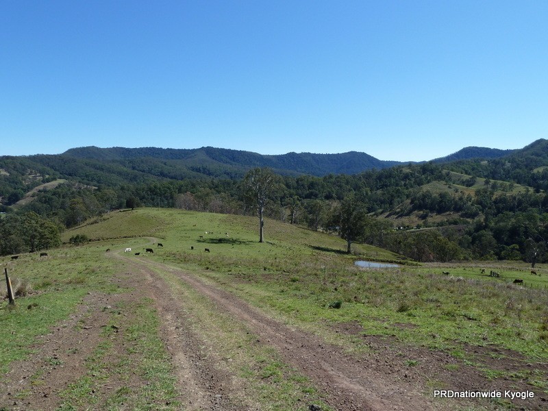 830 Gradys Creek Rd, Kyogle NSW 2474