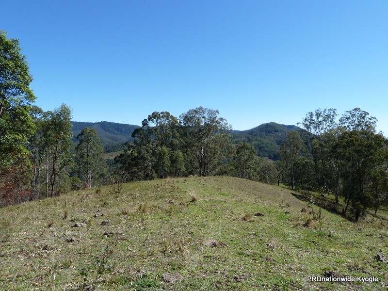 830 Gradys Creek Rd, Kyogle NSW 2474