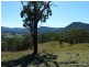 830 Gradys Creek Rd, Kyogle NSW 2474