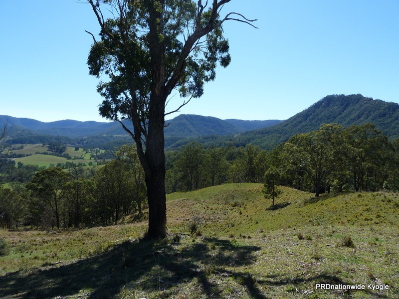 830 Gradys Creek Rd, Kyogle NSW 2474