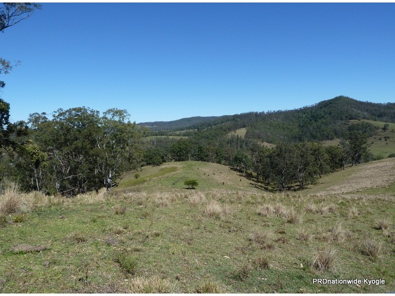 830 Gradys Creek Rd, Kyogle NSW 2474