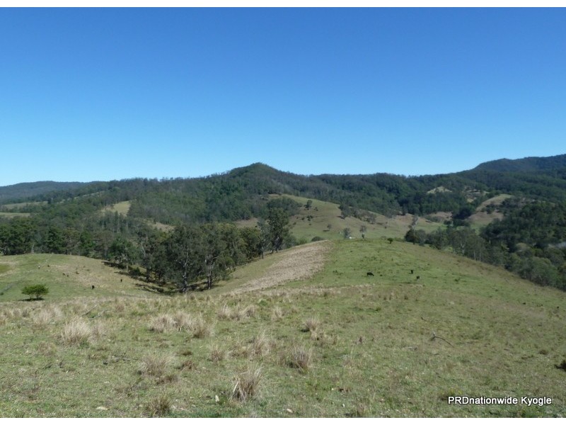 830 Gradys Creek Rd, Kyogle NSW 2474