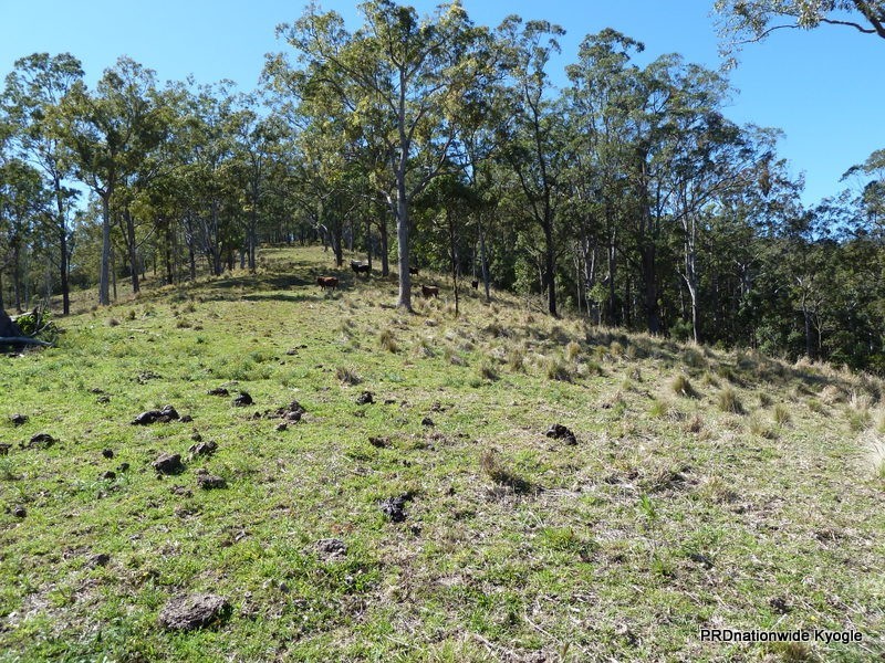 830 Gradys Creek Rd, Kyogle NSW 2474