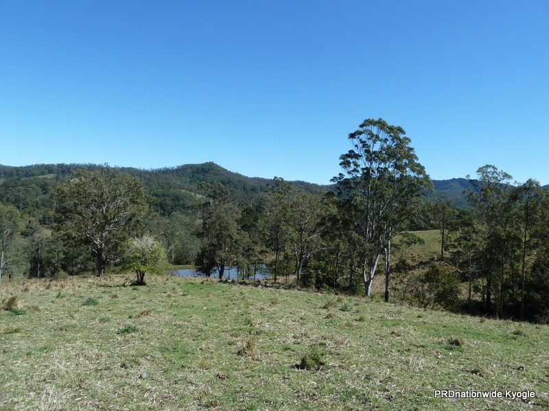 830 Gradys Creek Rd, Kyogle NSW 2474