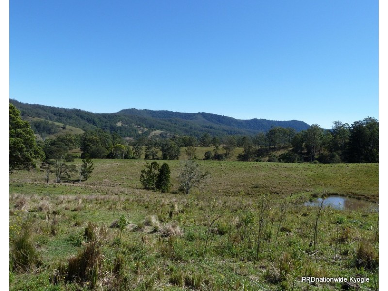 830 Gradys Creek Rd, Kyogle NSW 2474
