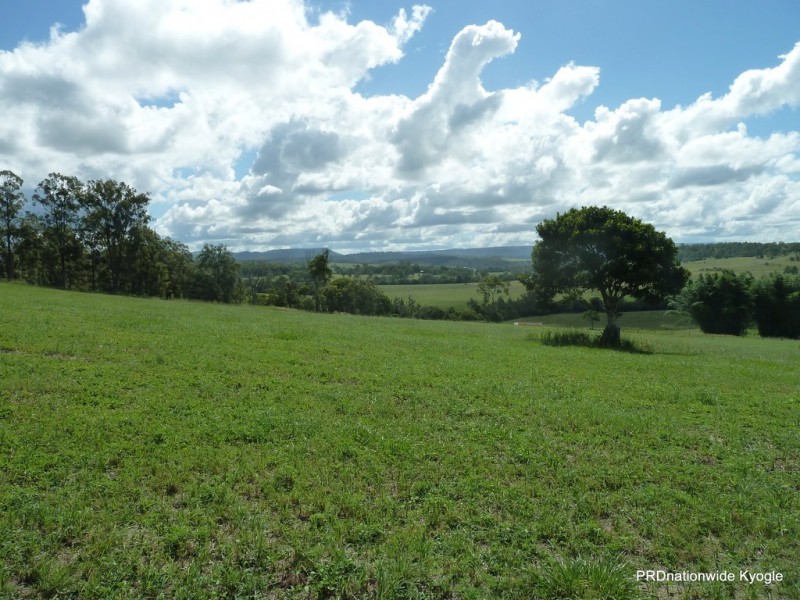 1521 Dyraaba Road, Dyraaba NSW 2470