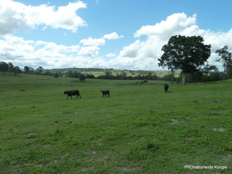 1521 Dyraaba Road, Dyraaba NSW 2470