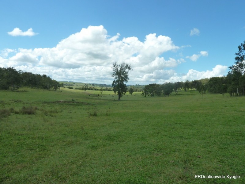 1521 Dyraaba Road, Dyraaba NSW 2470