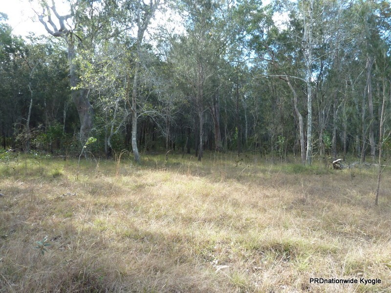 2262 Old Tenterfield Road, Wyan NSW 2469