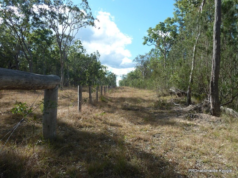 2262 Old Tenterfield Road, Wyan NSW 2469