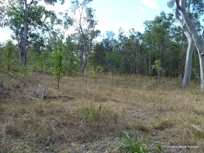 2262 Old Tenterfield Road, Wyan NSW 2469