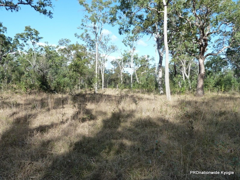 2262 Old Tenterfield Road, Wyan NSW 2469