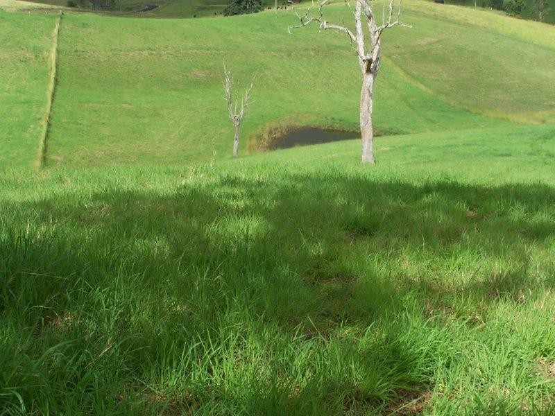 36 Chisholm Court, Kyogle NSW 2474