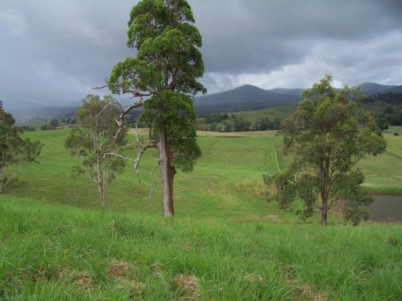 36 Chisholm Court, Kyogle NSW 2474