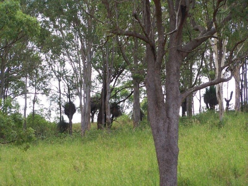 36 Chisholm Court, Kyogle NSW 2474