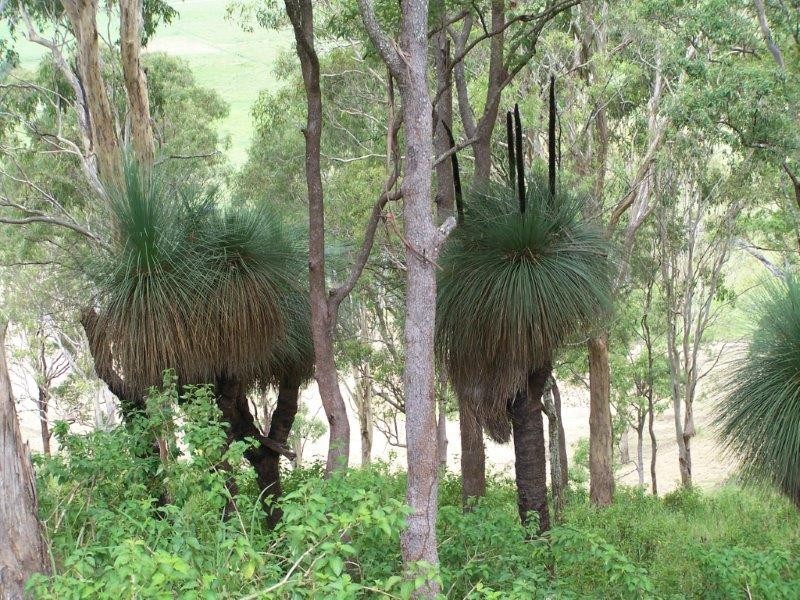 36 Chisholm Court, Kyogle NSW 2474