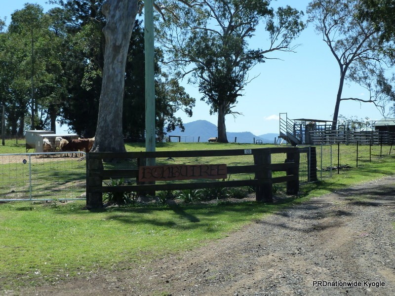 120 Homestead Road, Kyogle NSW 2474