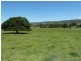 120 Homestead Road, Kyogle NSW 2474