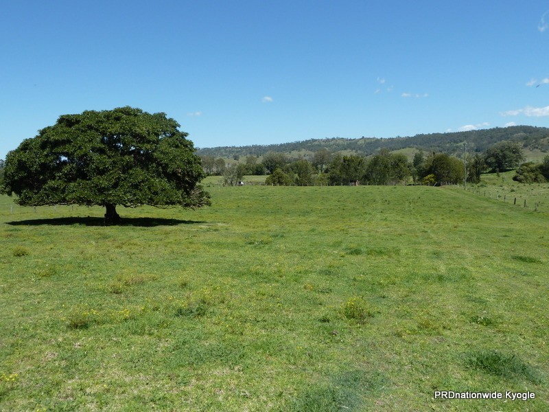 120 Homestead Road, Kyogle NSW 2474