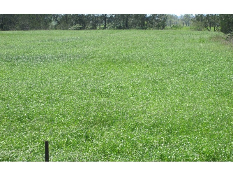 Lot 16 Sextonville Road, Casino NSW 2470