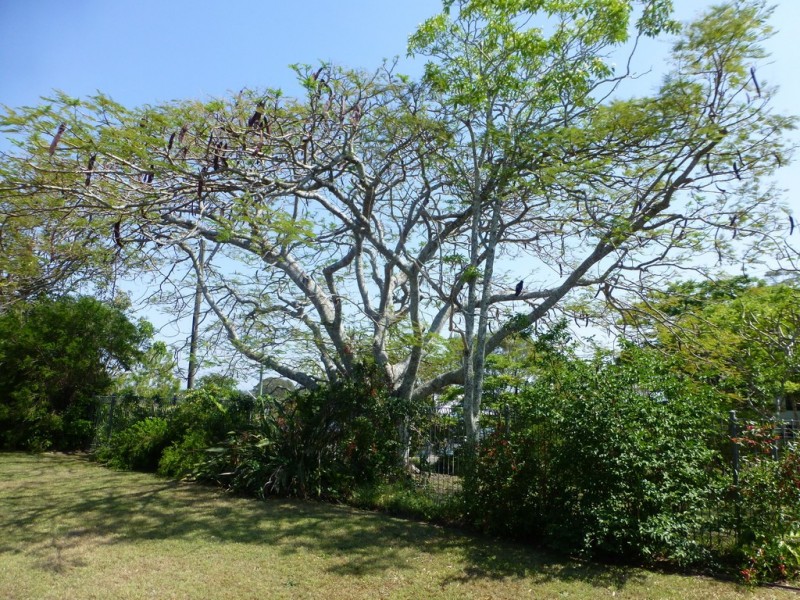 105 Hare Street, Casino NSW 2470