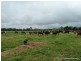 11825 Summerland way, Kyogle NSW 2474