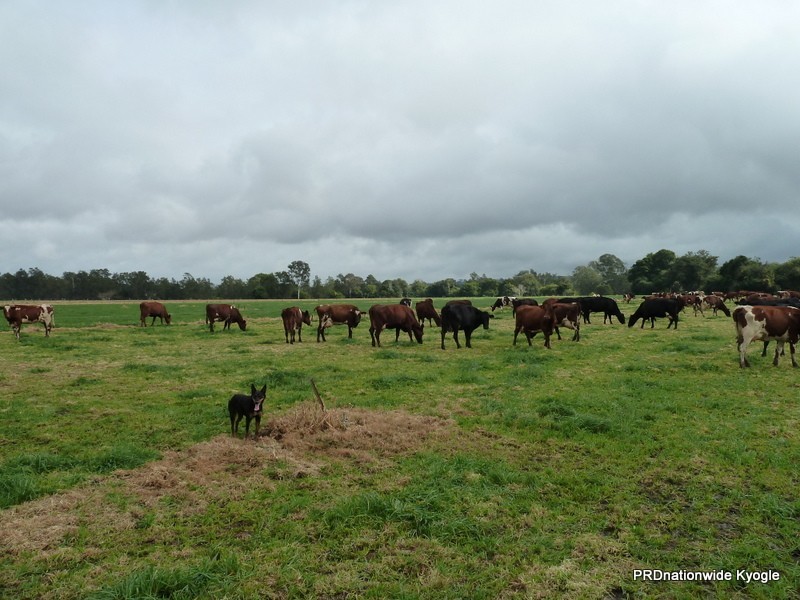 11825 Summerland way, Kyogle NSW 2474