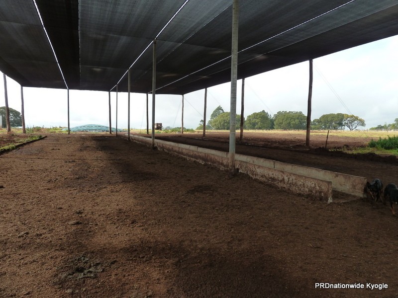 11825 Summerland way, Kyogle NSW 2474
