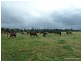 11825 Summerland way, Kyogle NSW 2474